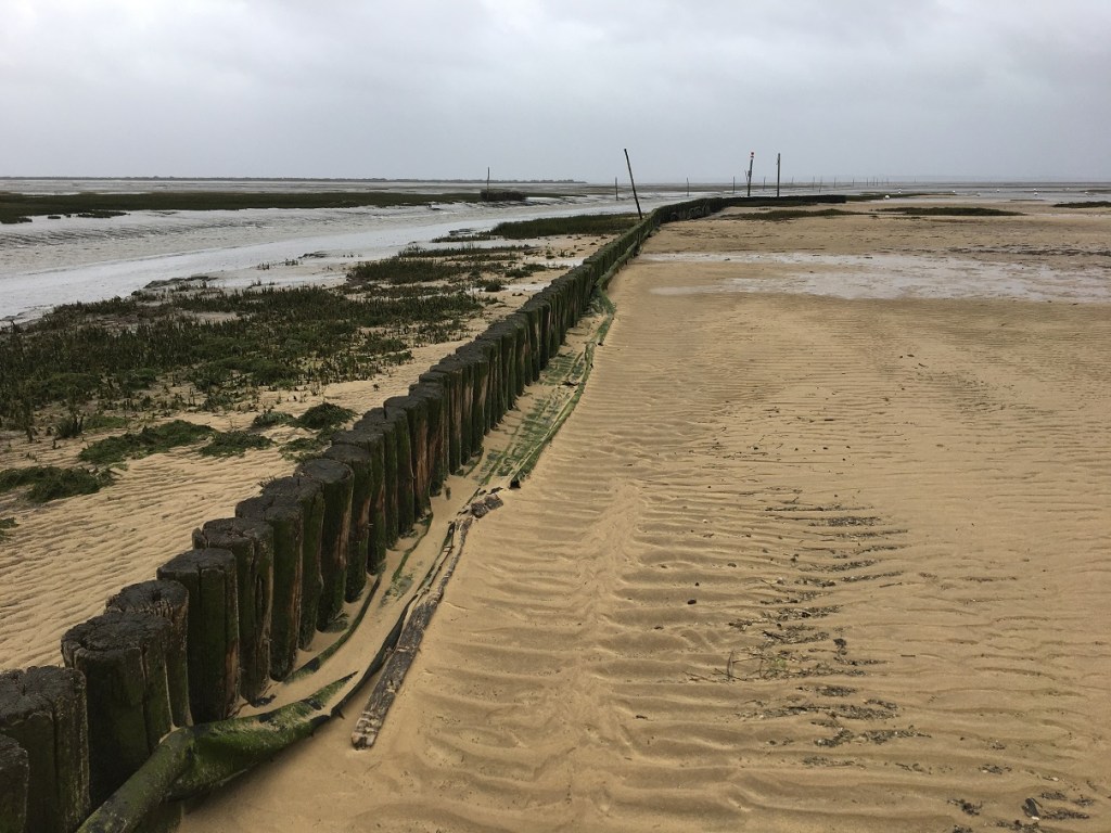 Cette image a un attribut alt vide ; le nom du fichier est b_12-1.jpg