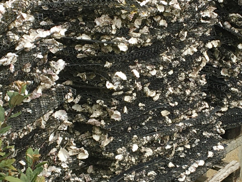 Cette image a un attribut alt vide ; le nom du fichier est b_4-2.jpg