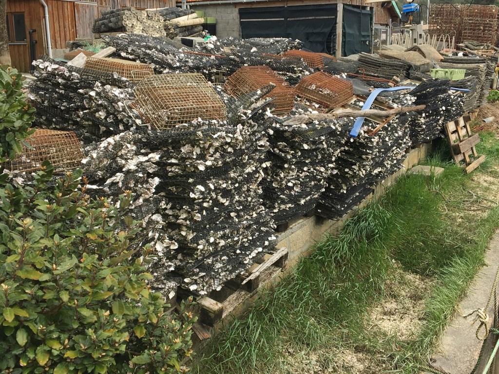 Cette image a un attribut alt vide ; le nom du fichier est b_5-2.jpg