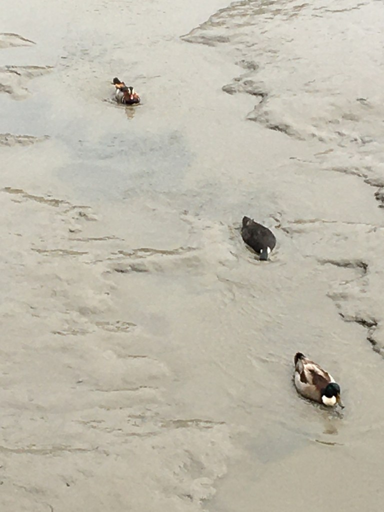 Cette image a un attribut alt vide ; le nom du fichier est b_6-2.jpg